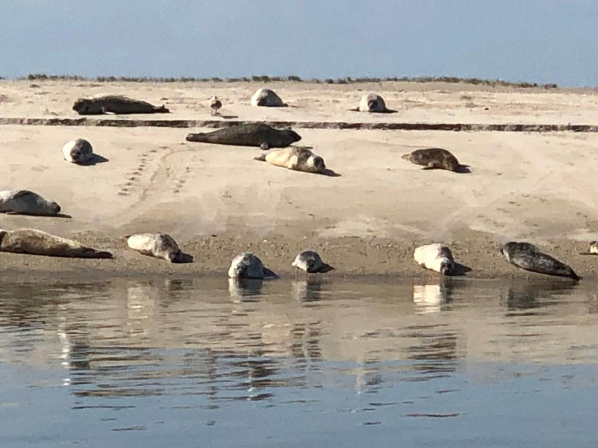 Trekvogels Hoern Dornum Exteriér fotografie